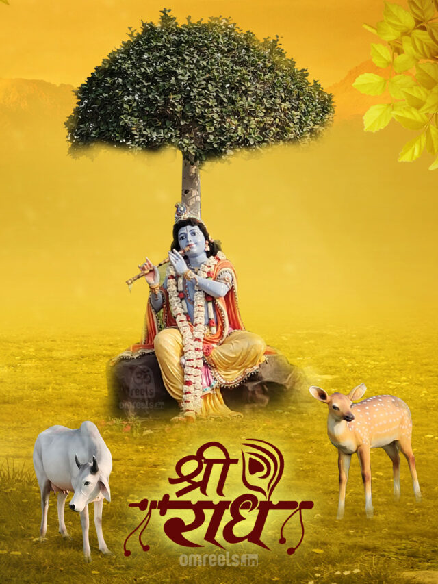 Full Hd Krishna Wallpaper - Om Reels